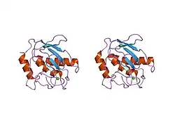2oy2: Human MMP-8 in complex with peptide IAG