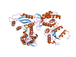 2pgj: Catalysis associated conformational changes revealed by human cd38 complexed with a non-hydrolyzable substrate analog