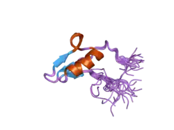 2v0e: BRK DOMAIN FROM HUMAN CHD7