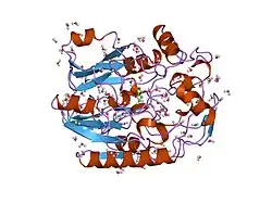 7jdw: CRYSTAL STRUCTURE OF HUMAN L-ARGININE:GLYCINE AMIDINOTRANSFERASE IN COMPLEX WITH DELTA-AMINO VALERIC ACID
