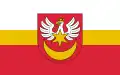 Flag of Tarnów County
