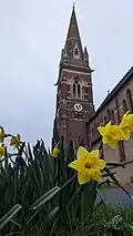 A red brick Victorian church with daffodils in the foreground