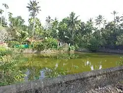 Pandavarkavu Devi Temple pond