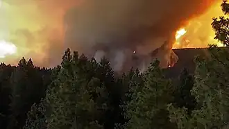A fire tornado on the Park Fire.