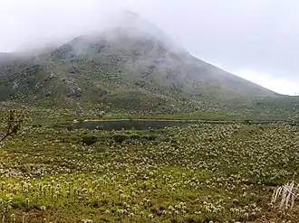Clouds over Chingaza National Park