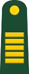 Lieutenant Colonel