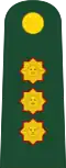General de división (Peruvian Army)[25]