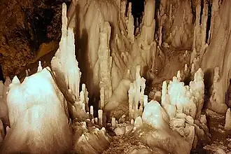 Scărișoara Cave