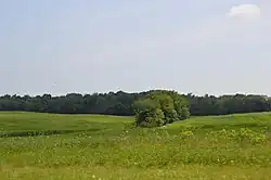 Countryside east of Catawba