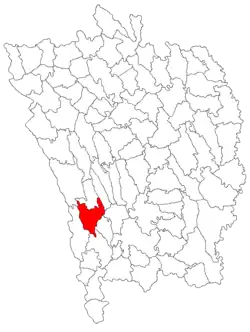 Location in Vaslui County
