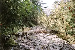 Remains of the pagan wall