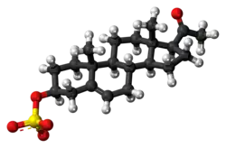 Ball-and-stick model of pregnenolone sulfate as an anion