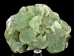 Pastel-green rosettes of prehnite blades on matrix