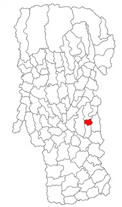 Location in Argeș County