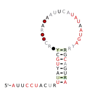 malK-II Secondary structure taken from the Rfam database. Family RF03008