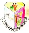 Coat of arms of Românești