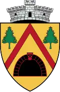 Coat of arms of Băiuț