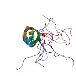 NMR structure of the second RRM domain of ASF/SF2 based on the PDB: 2O3D coordinates.