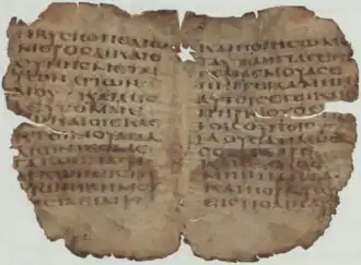 Photograph of papyrus 1 & 4