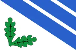 Flag of Rakvere Parish