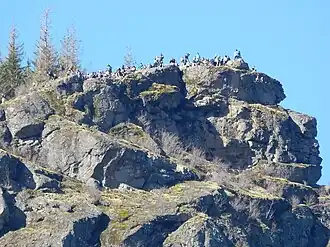 Rattlesnake Ledge weekend crowds