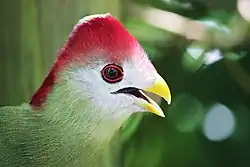 At Brevard Zoo, Florida