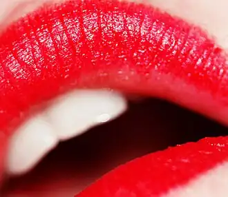 Red lipstick has been worn by women as a cosmetic since ancient times. It was worn by Cleopatra, Queen Elizabeth I, and film stars such as Elizabeth Taylor and Marilyn Monroe.