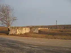 Ruins of the governor's palace, part of the former fortress at Old Orhei