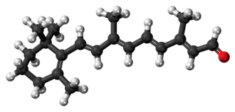 Ball-and-stick model of the retinal molecule
