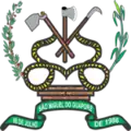Coat of arms of São Miguel do Guaporé