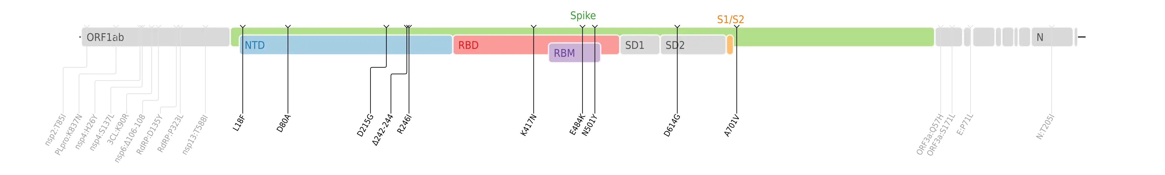 Amino acid mutations of SARS-CoV-2 Beta variant plotted on a genome map of SARS-CoV-2 with a focus on Spike.[13]