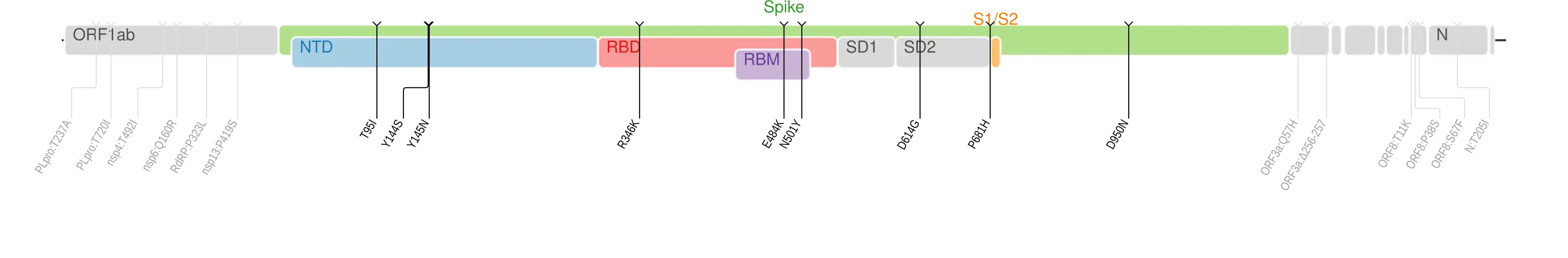 Amino acid mutations of SARS-CoV-2 Mu variant plotted on a genome map of SARS-CoV-2 with a focus on the spike.[14]