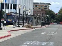A Sacramento RT light rail train pulls up to the Sacramento Valley Station.