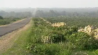 "Sahel" sub-region, with "anticline climbing" road