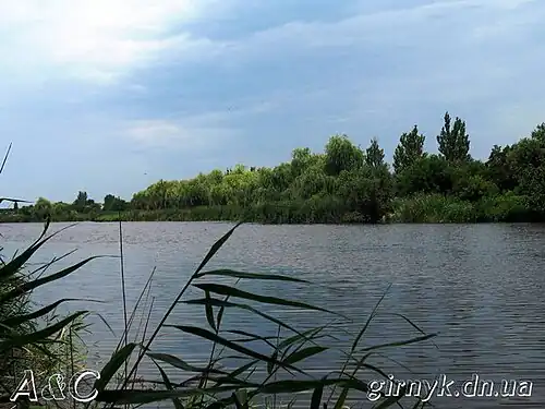 Salt River in the city