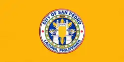 Flag of San Pedro