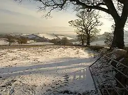 Scene in December 2010