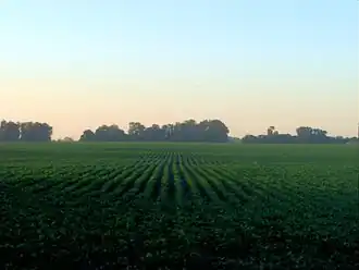 Soy field in Argentina's fertile pampas. The versatile legume makes up about half the nation's crop production and a fourth of its exports.