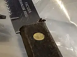 Fruit Flies mating