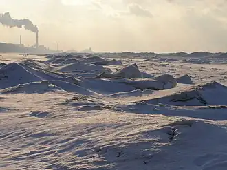 Ridges of shelf ice along Lake Michigan's southern shore at Indiana Dunes National Park