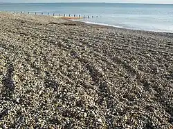 A gently sloping beach of large, coarse stones, lit by weak sunlight. There are some mounds caused by tyre tracks, and an accumulation of brown seaweed. A timber groyne runs into the sea in the background. A ship is just visible on the horizon.