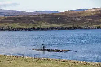 Skate of Marrister in Linga Sound
