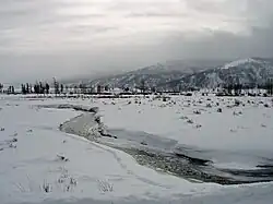 Soda Creek, January 2009