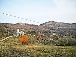 Landscape of L'Olmo