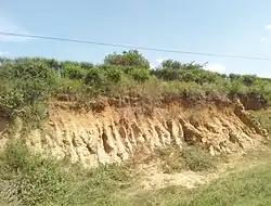 Soil Erosion in Lyantonde District.