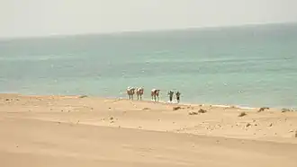 Berbera beach