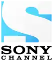 Sony Channel logo used from 2014–2019