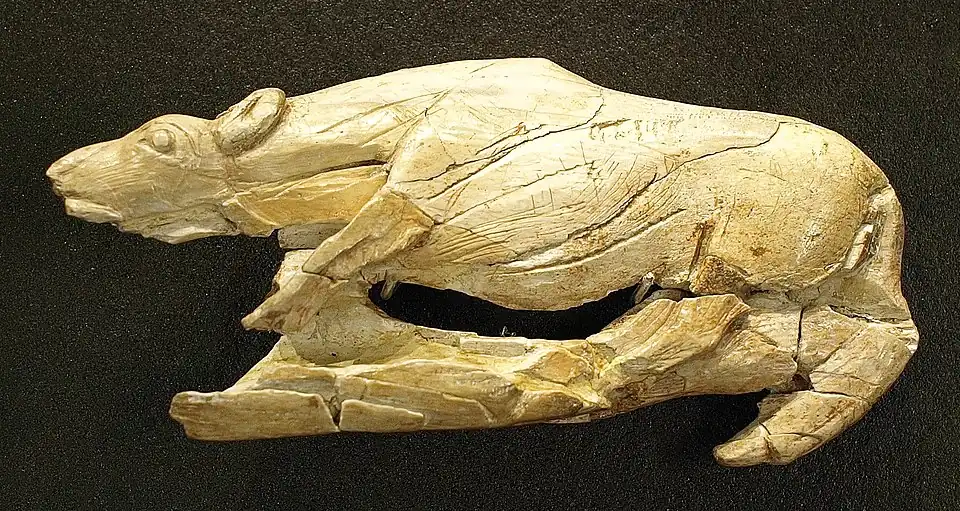 Creeping Hyena, c. 12–17,000 BP, mammoth ivory, found in La Madeleine, France