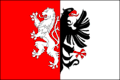 Flag of Starý Plzenec