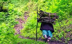 A woman carrying firewood in the village of Suha